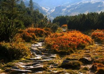 pokoje dwuosobowe z łazienkami zakopane