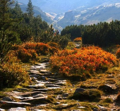 pokoje dwuosobowe z łazienkami zakopane